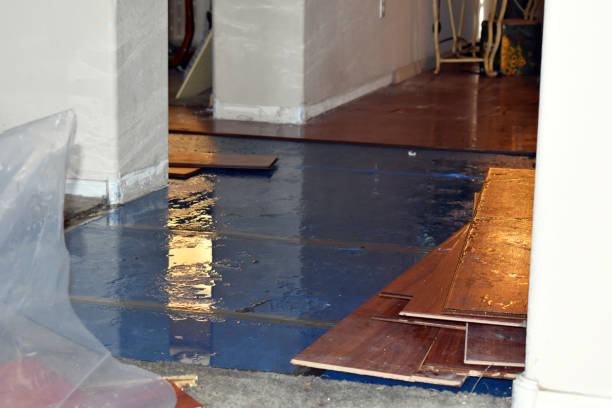 Professional Basement Flood Cleanup technician working in Conesville, OH